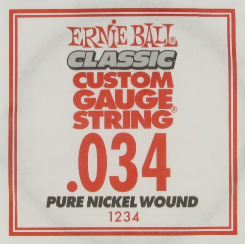 ERNIE BALL P01234